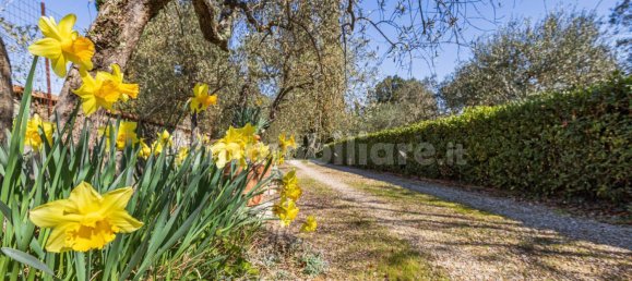 5 bedrooms Villa in Impruneta, Italy No. 237961 19