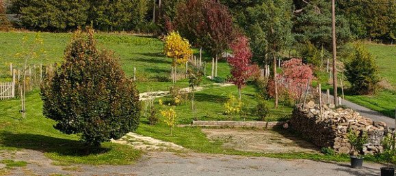 4 غرف نوم منزل في Champsac, France رقم 98215 2