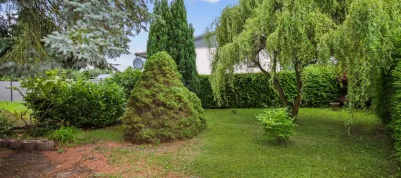 3 bedrooms House in Ludwigslust-Parchim, Germany No. 219903 6