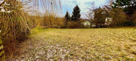 Земельный участок в Брук ан дер Лайта, Австрия № 212844 7