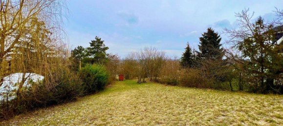 Земельный участок в Брук ан дер Лайта, Австрия № 212844 8