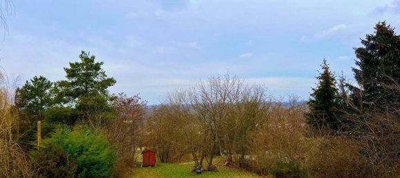 Земельный участок в Брук ан дер Лайта, Австрия № 212844 5