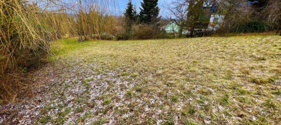 Земельный участок в Брук ан дер Лайта, Австрия № 212844 6