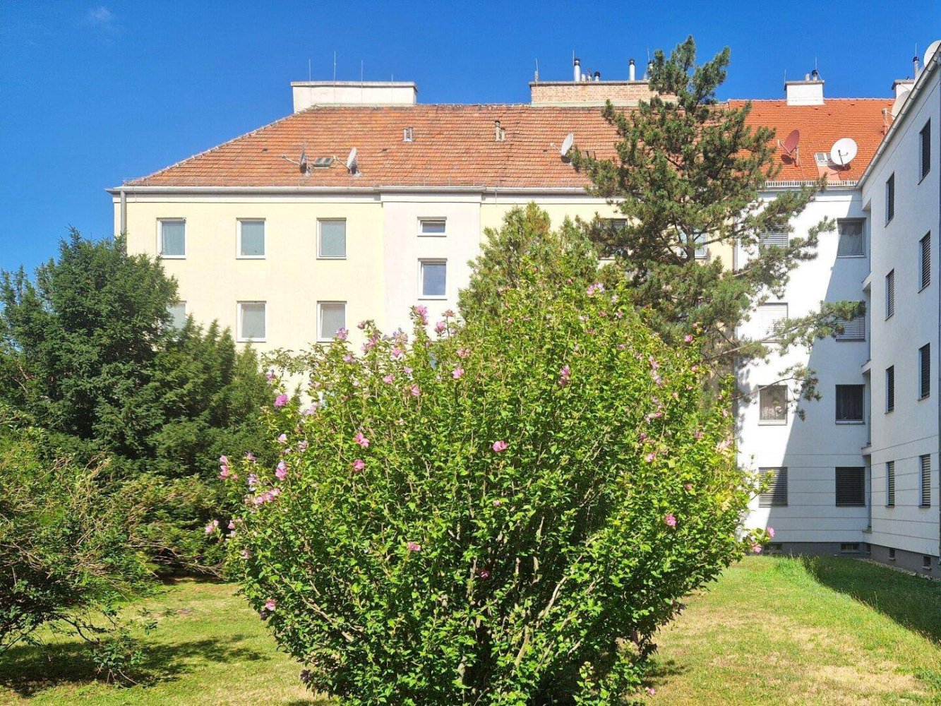 Квартира с 2 комнатами в Швехат, Австрия № 148074