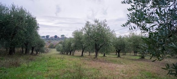 2 rooms Apartment in Montepulciano, Italy No. 278364 5