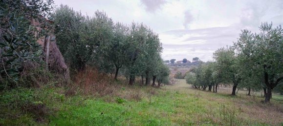 2 rooms Apartment in Montepulciano, Italy No. 278364 6