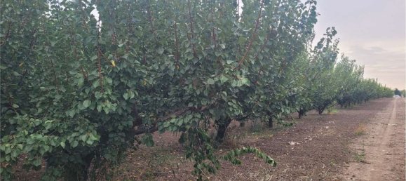 Propriété commerciale à Canosa di Puglia, Italy 117000m² No. 270648 13