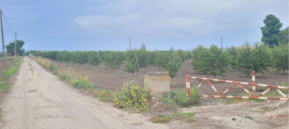 Propriété commerciale à Canosa di Puglia, Italy 117000m² No. 270648 3