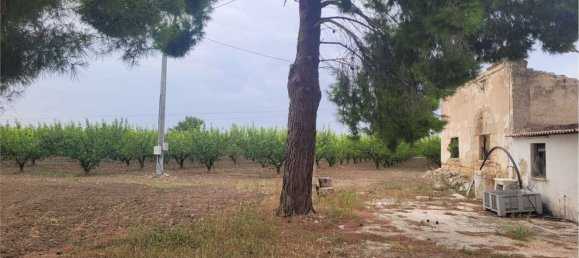 Propriété commerciale à Canosa di Puglia, Italy 117000m² No. 270648 8