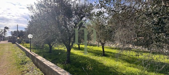 1 bedroom House in Ostuni, Italy No. 237286 22