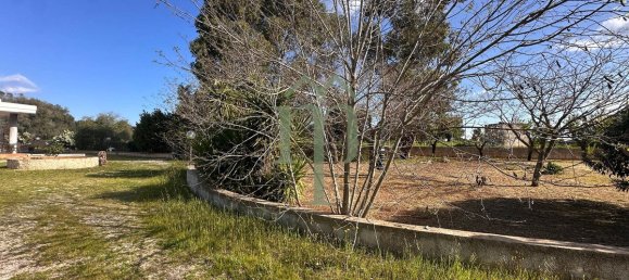 1 bedroom House in Ostuni, Italy No. 237286 20