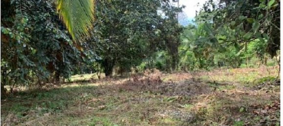  Land in Guacimo, Costa Rica No. 1834 6