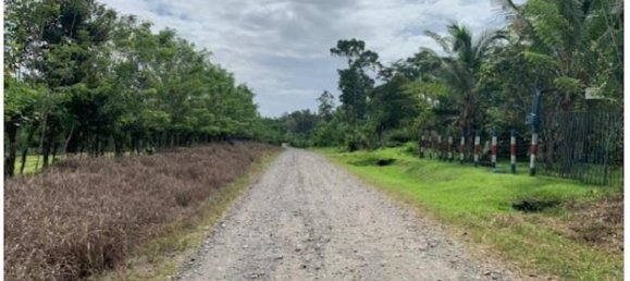  Land in Guacimo, Costa Rica No. 1834 5