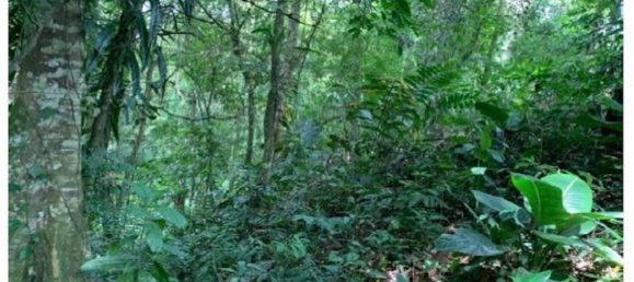  Land in Guacimo, Costa Rica No. 1834 2