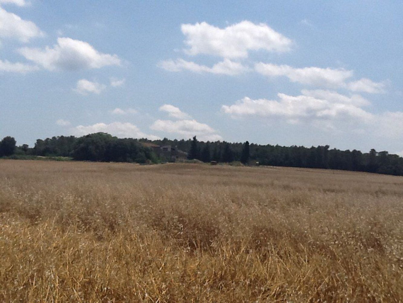 Terreno en Saus, Spain 127 m² No. 194658