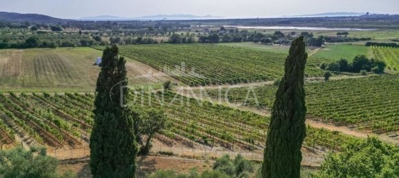 6 rooms Villa in Scarlino, Italy No. 274314 24