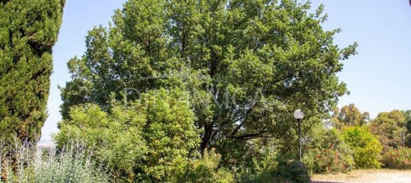 6 rooms Villa in Scarlino, Italy No. 274314 8