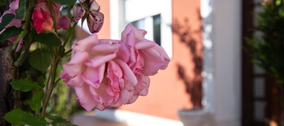 Casa T3 em Dehesas, Spain N.º 86632 10