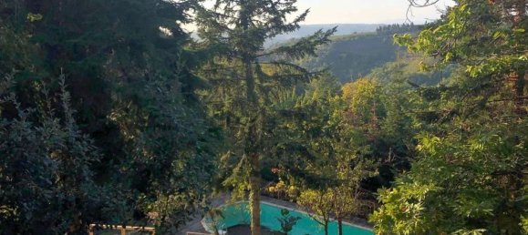 23 rooms House in Greve in Chianti, Italy No. 44492 4