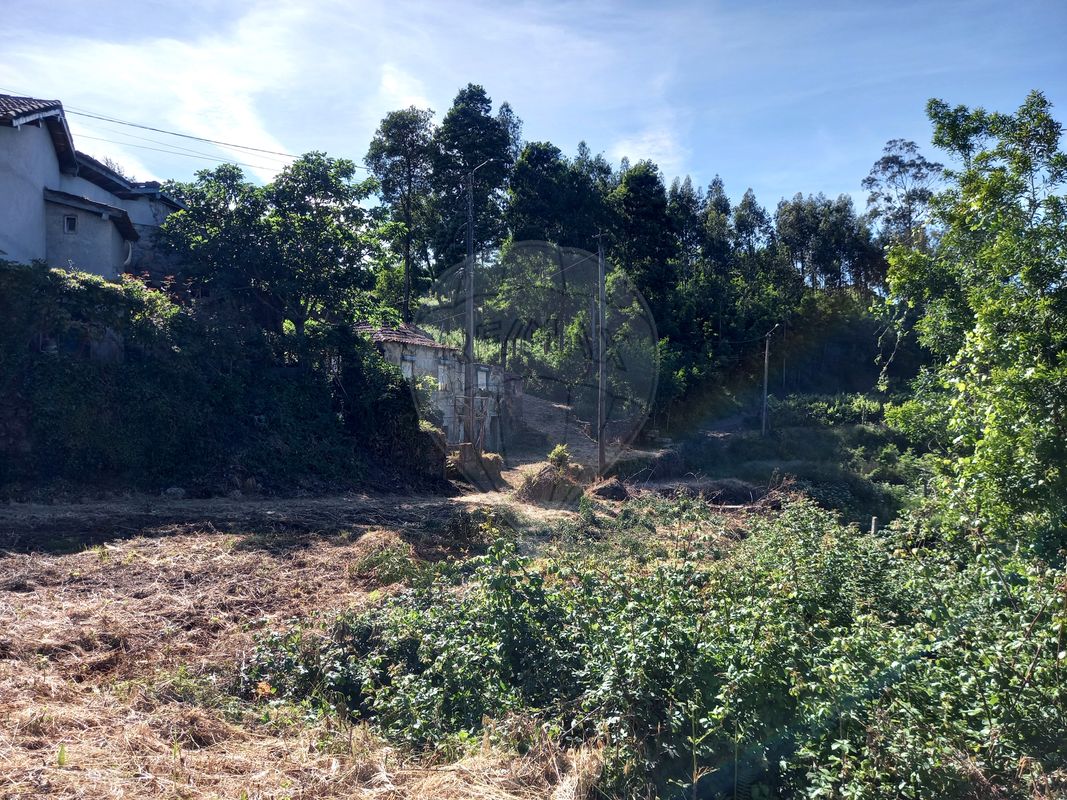 3 bedrooms House in Sobreira, Portugal No. 21114