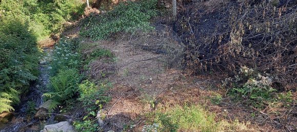 3 bedrooms House in Sobreira, Portugal No. 21114 9