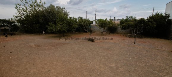 4 bedrooms Villa in Xylotymbou, Cyprus No. 1447 17