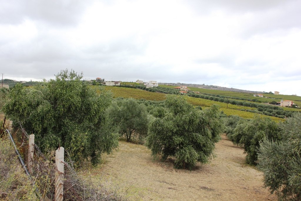 13042m² Hotel in Heraklion, Greece No. 6934