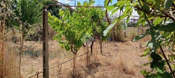 Apartamento de 2 habitaciónes en Segni, Italy No. 85762 7