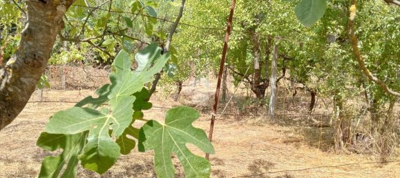 Apartamento de 2 habitaciónes en Segni, Italy No. 85762 3