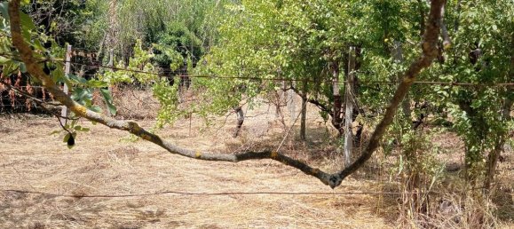 Apartamento de 2 habitaciónes en Segni, Italy No. 85762 2