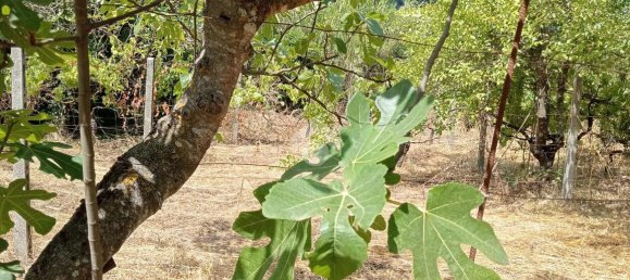 Apartamento de 2 habitaciónes en Segni, Italy No. 85762 4