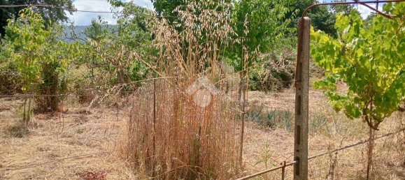 Apartamento de 2 habitaciónes en Segni, Italy No. 85762 6