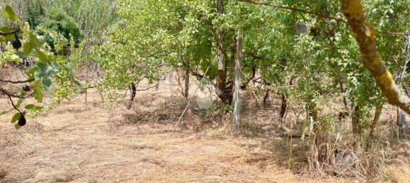 Apartamento de 2 habitaciónes en Segni, Italy No. 85762 5