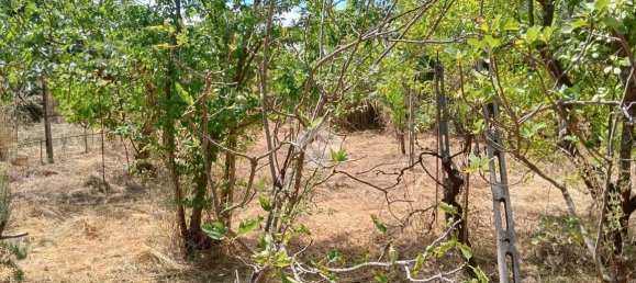 Apartamento de 2 habitaciónes en Segni, Italy No. 85762 10