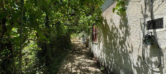 Apartamento de 2 habitaciónes en Segni, Italy No. 85762 11