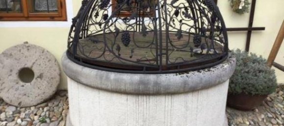 10 rooms House in Langenlois, Austria No. 120402 10