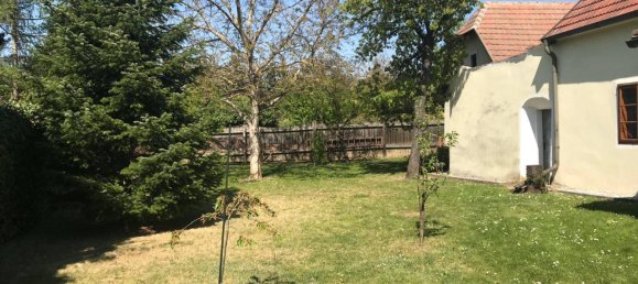 10 rooms House in Langenlois, Austria No. 120402 8