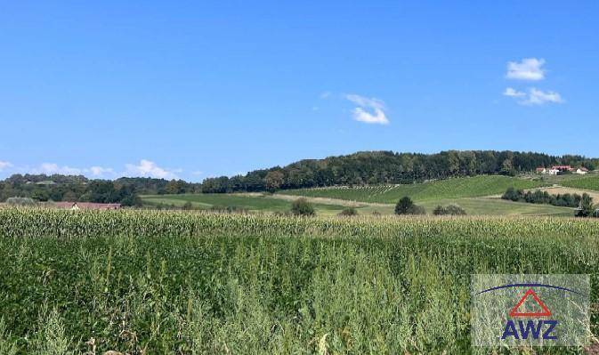 4-Zimmer Wohnung in Bad Waltersdorf, Austria, Nr. 49988