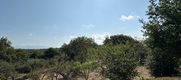 4 rooms Villa in Castel Sant'Elia, Italy No. 363222 6