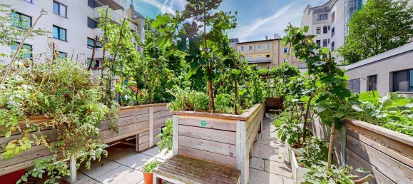 Studio in Brigittenau, Austria No. 246356 10