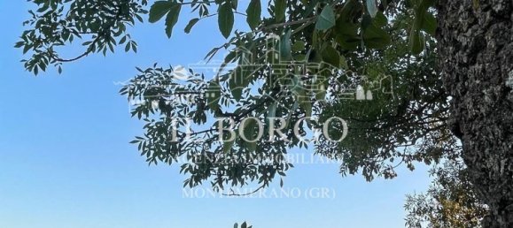 7 rooms Villa in Manciano, Italy No. 271272 19