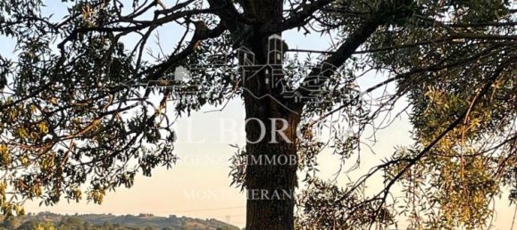 7 rooms Villa in Manciano, Italy No. 271272 29