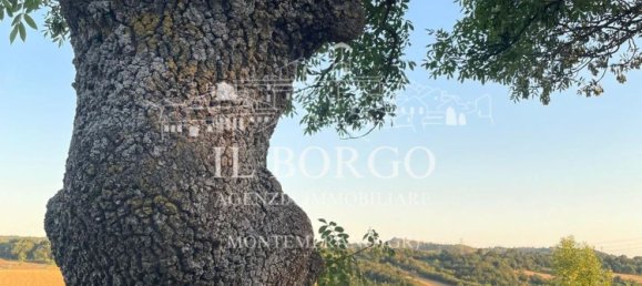 7 rooms Villa in Manciano, Italy No. 271272 32