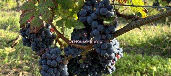 6 غرف نوم منزل في Cravant-les-Coteaux, France رقم 48963 10