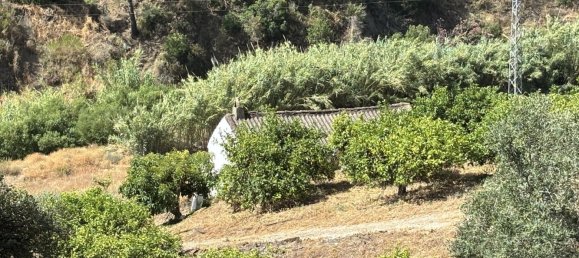 Terreno en Estepona, Spain 13391 m² No. 147729 6