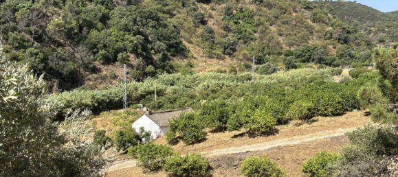 Terreno en Estepona, Spain 13391 m² No. 147729 7