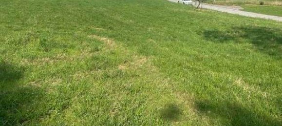 Land in Heiligenkreuz am Waasen, Austria No. 256838 2