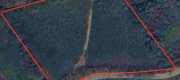 Grundstück in Mae Chan, Thailand 6400m², Nr. 74693 7