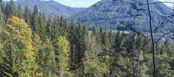  قطعة أرض في Spital am Semmering, Austria رقم 61869 3