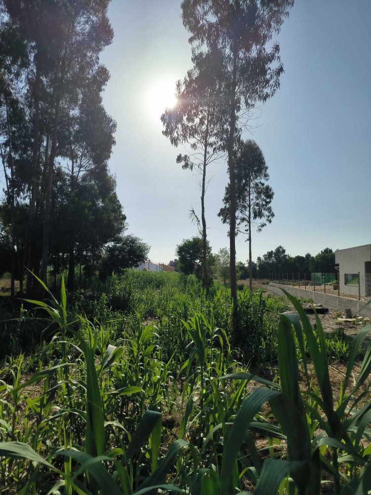  Land in Mira, Portugal No. 292534